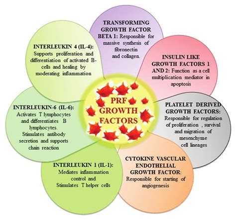 Role of platelet-rich fibrin growth factors and cytokines in tissue... | Download Scientific Diagram