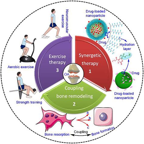 Osteoarthritis Treatment