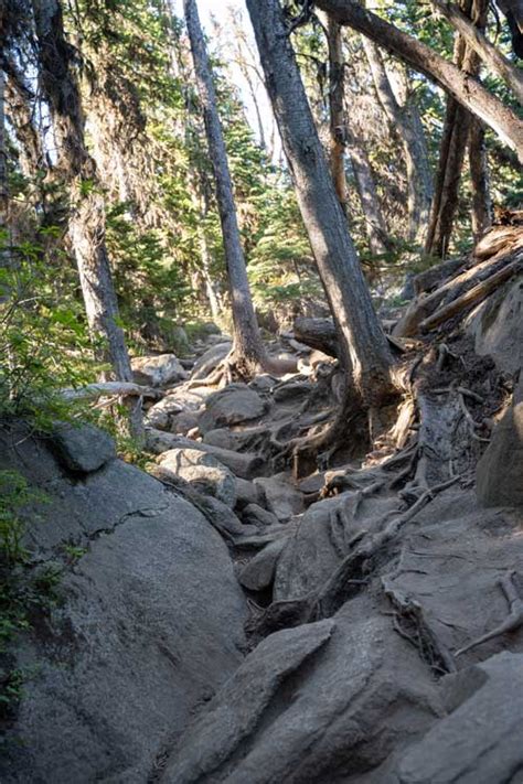 Complete Guide to Hiking Colchuck Lake Trail in Washington