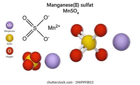 5 Mnso4 图片、库存照片和矢量图 | Shutterstock