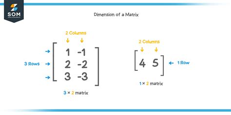 Dimension of a matrix - Explanation & Examples