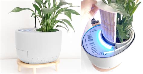 Urbie: Smart air purifier & self-watering planter | Indiegogo