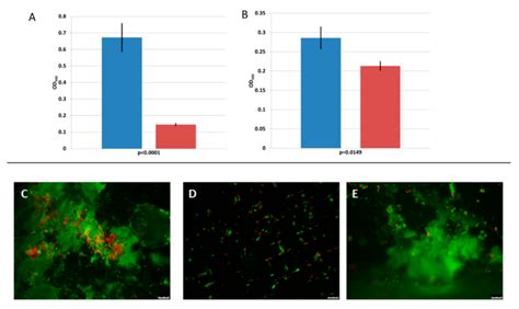 Biofilm prevention (A) and biofilm removal ability (B) of the ...