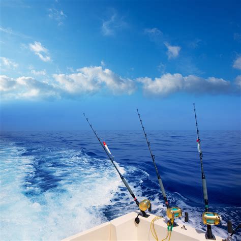 What to Expect For Your First Deep Sea Fishing Charter Experience