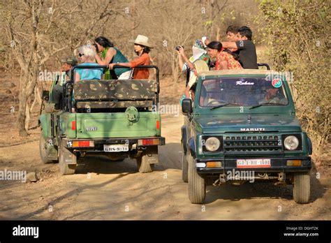 Tourists on safari vehicles, Gir Forest National Park, Gir Sanctuary ...