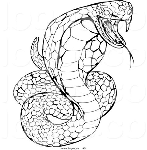 Snake Coloring Pages PDF Printable - Coloringfolder.com | Snake ...