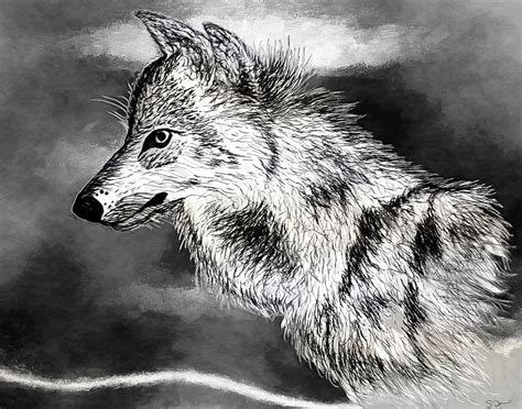 Alpha Wolf Drawing by Abstract Angel Artist Stephen K | Fine Art America