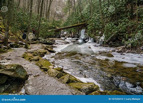 A Hiking Trail by Little Stony Creek Stock Photo - Image of covered, autumn: 107535412