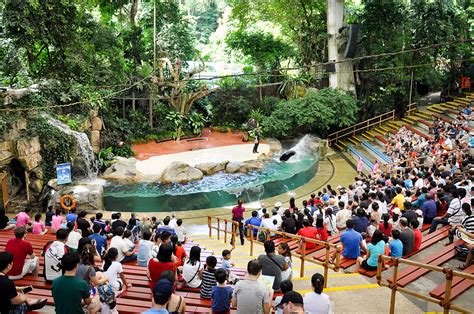 Singapore Zoo l iVenture Card Singapore