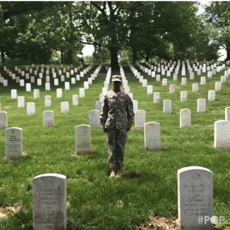 GoPop GIF - Find & Share on GIPHY | Cool gifs, Giphy, Memorial day