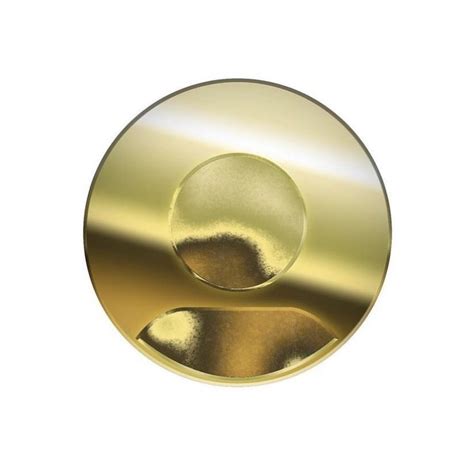 an image of a gold plate with two circles on it