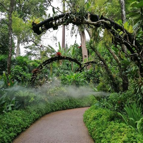 Singapore Botanic Garden, Strolling Through Endless Beauty