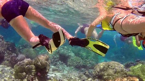 Bora Bora Snorkeling Adventure - YouTube