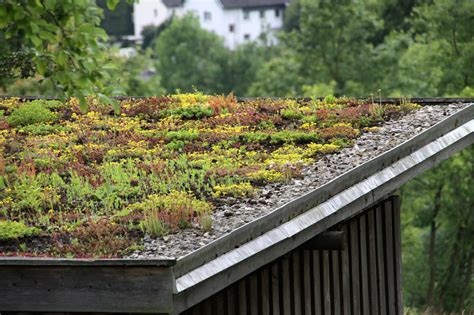 Green Roof Installation - R&D Roofing