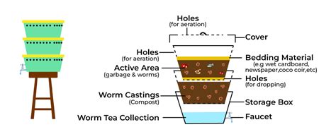 What Is Vermicomposting: Definition, Methods, Benefits, and Applications