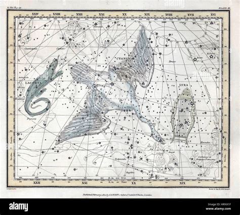 Cygnus constellation map hi-res stock photography and images - Alamy