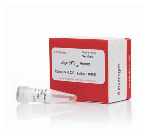 Invitrogen™ Oligo(dT) 20 Primer 15ug Unlabeled Oligonucleotides and Primers | Fisher Scientific