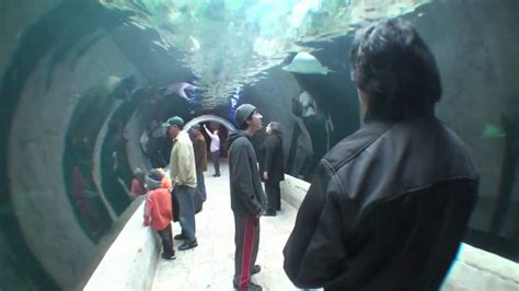 Dallas World Aquarium Tour The Dallas World Aquarium March 10 ...