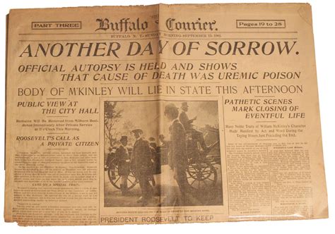 Lot Detail - William McKinley Assassination Newspaper From Buffalo, Where He Was Shot -- Covers ...