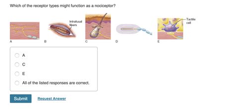 Solved Which of the receptor types might function as a | Chegg.com