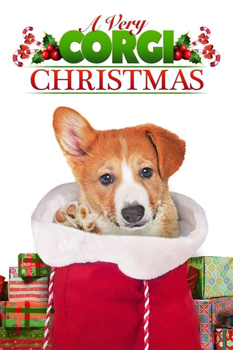 A Very Corgi Christmas (2019) — The Movie Database (TMDB)