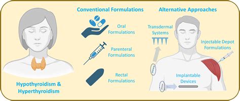 Drug delivery systems for thyroid disease treatment: A mini review on current therapies and ...