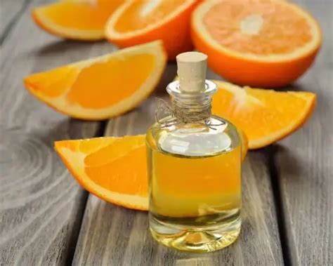 Citrus Oils Benefits - Example and Applications | AOS Blog