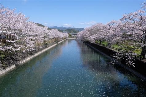 What to See & Do｜VISIT KOCHI JAPAN