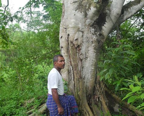 Documentary film on Forest Man Jadav Payeng of Assam gets award at ...