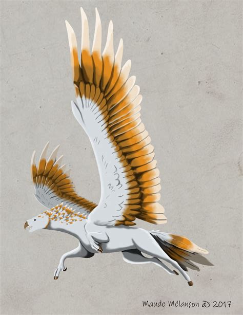 ArtStation - Hippogriff