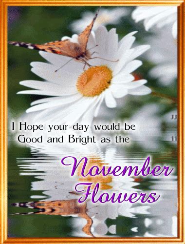 A November Flowers Ecard. Free November Flowers eCards, Greeting Cards | 123 Greetings