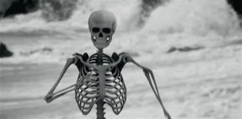 Meme Skeleton Waiting Gif - clubpenguinoticiass