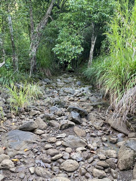 MOANALUA VALLEY TRAIL - 510 Photos & 64 Reviews - Ala Aolani St, Moanalua, Hawaii - Hiking - Yelp