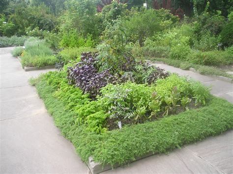 Edible Landscape Design | HGTV