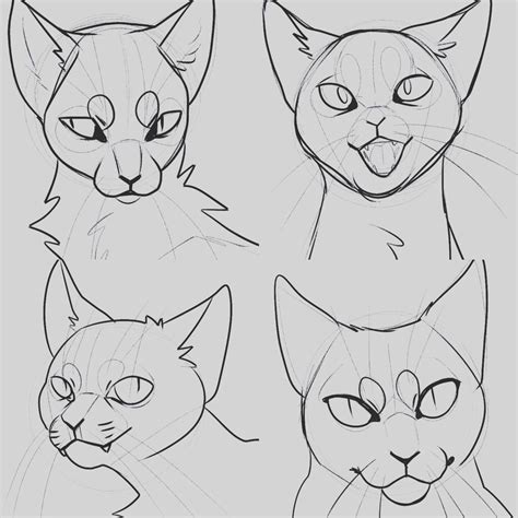 cat style study by Uoneko on @DeviantArt | Cat face drawing, Cat ...