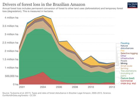 10 Stunning Amazon Rainforest Deforestation Facts to Know About | Earth.Org (2022)