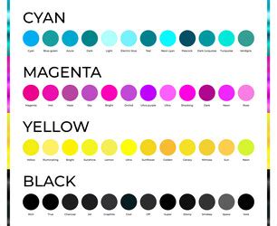 Cyan magenta yellow and black cmyk color shades Vector Image