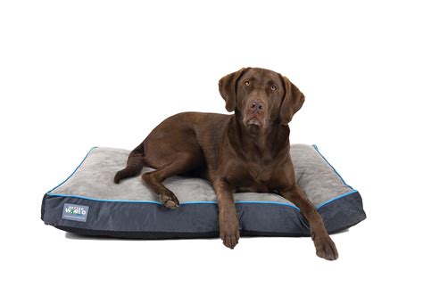 Better World Pets 5Inch Thick Waterproof Orthopedic Memory Foam Dog Bed with 180 GSM Removable ...