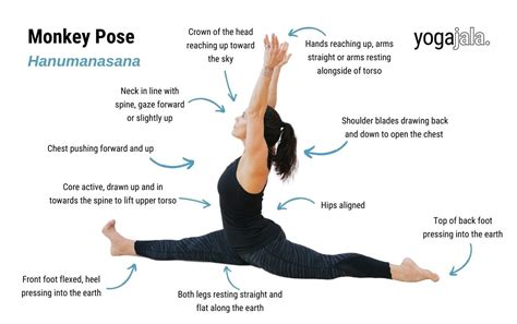 Mastering the Monkey Pose: Elevate Your Yoga Practice with this Playful ...