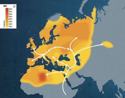 Haplogroup