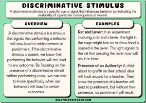 Discriminative Stimulus: 10 Examples & Definition (2024)