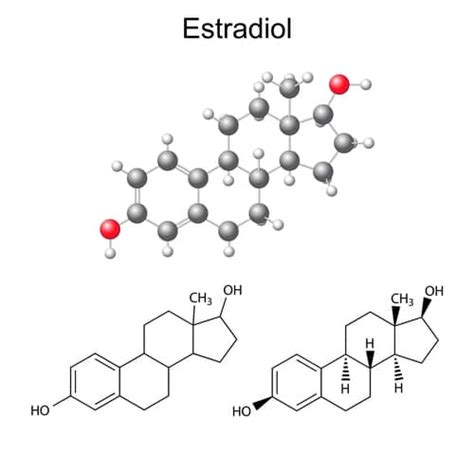 What Does Estradiol Do?