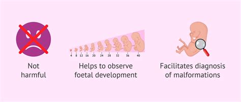 What is foetal ultrasound in the first, second and third trimester?