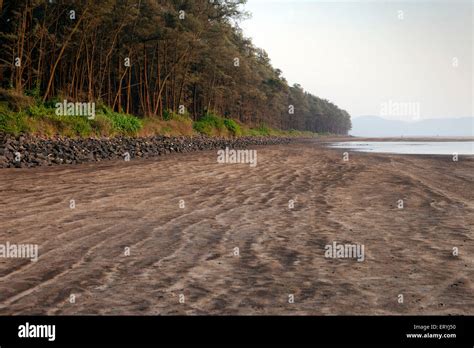 Nagaon beach hi-res stock photography and images - Alamy