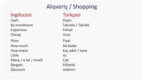 Turkish Language 101: Essential Words and Phrases for Beginners