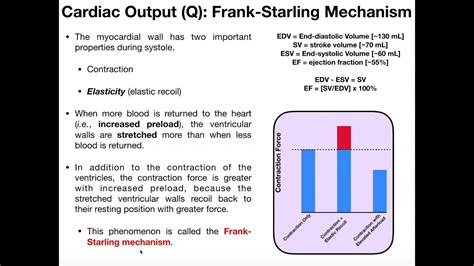 What is the Frank-Starling Mechanism in Cardiophysiology? - YouTube