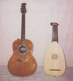 Plucked string instrument - Wikipedia