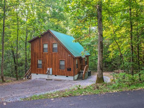 Pet-Friendly Cabins in Gatlinburg to Wag About | Vacasa