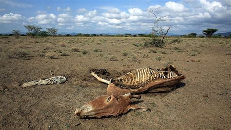 From Flesh to Bone: The Role of Weather in Body Decomposition | The ...