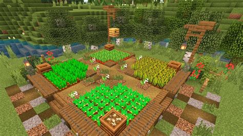 How To Make A Vegetable Garden In Minecraft | Fasci Garden